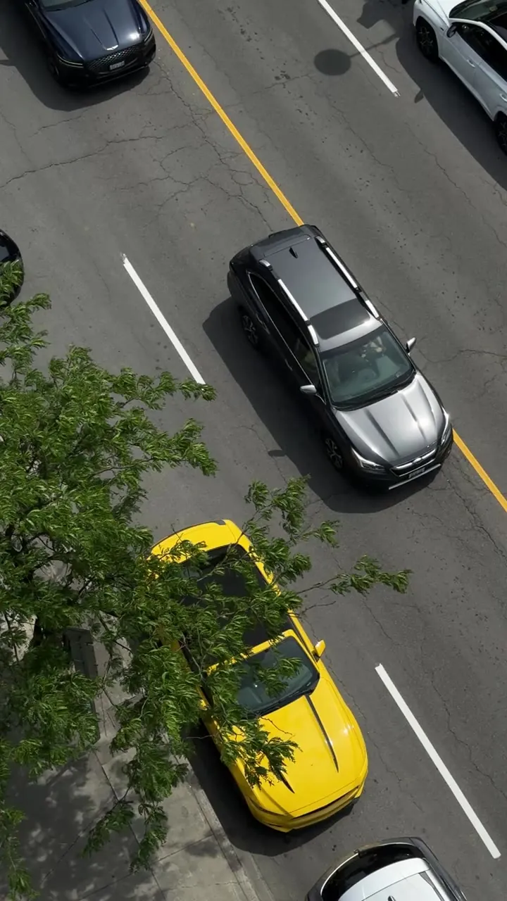 Top-down view of a multi-lane street with a yellow taxi and dark cars, and tree leaves at the edge of the frame.