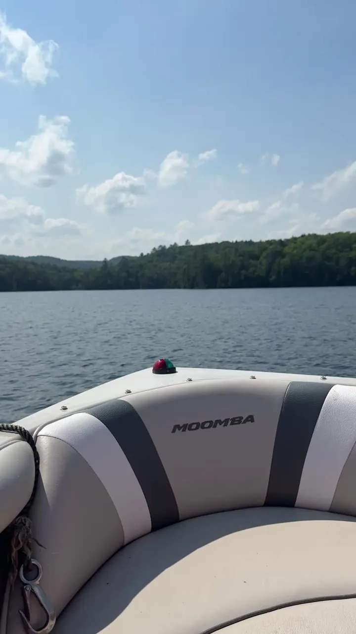 White and grey striped boat seat on a lake, with a tree-lined shore beyond.