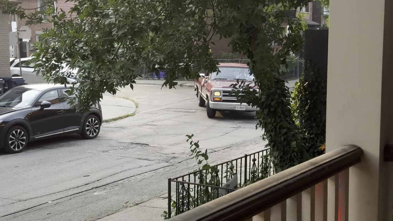 Street with parked cars seen from a balcony, beside a tree.