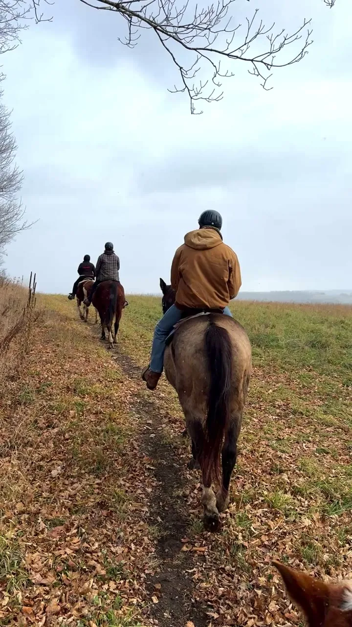 Riders on horseback on a leaf-covered trail.