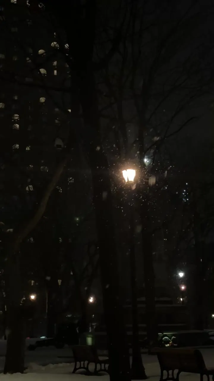 Dark night street with a glowing lamp and lit apartment windows.