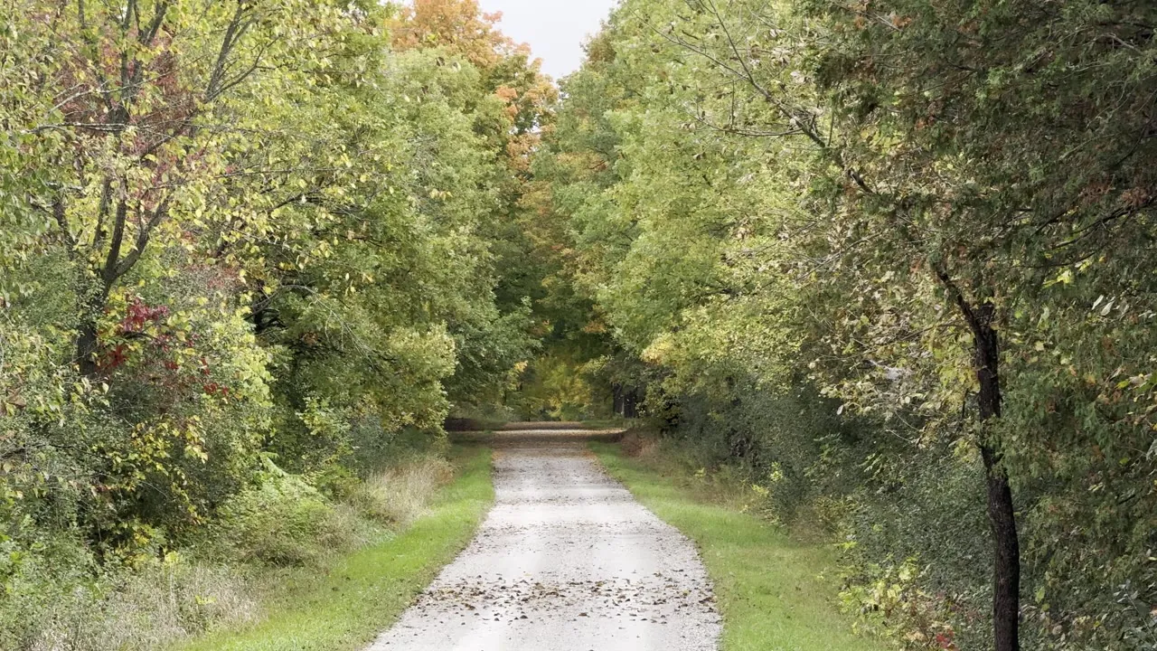 Gravel path winding through a tree-lined trail.
