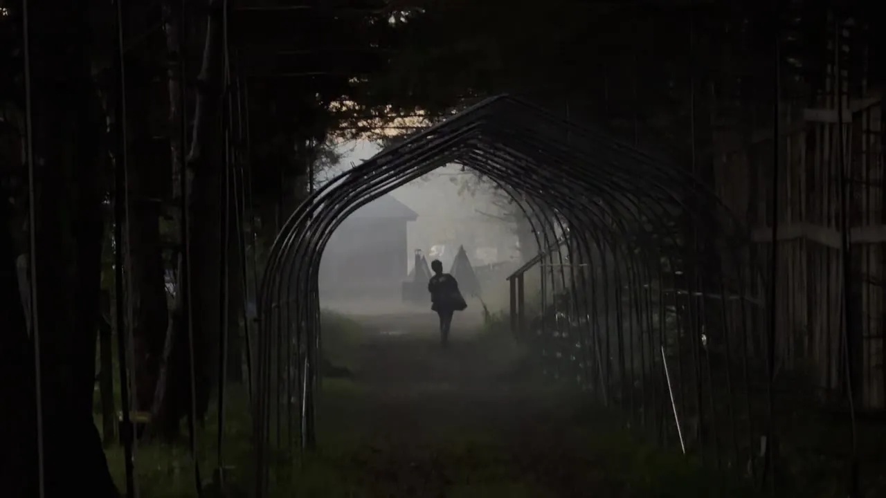 Dark tunnel of trees with a figure walking in the mist.