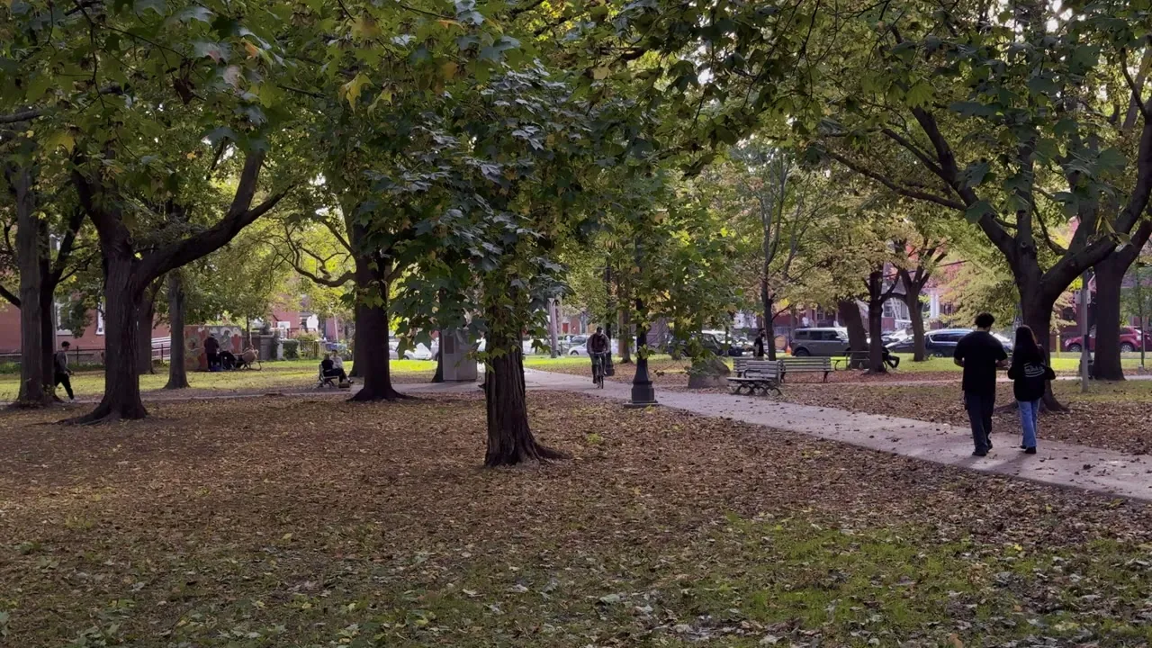 Park with large trees and people walking along a path.