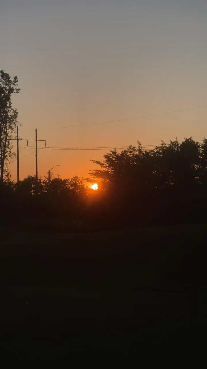 Low sun behind trees and power lines under an orange sky.