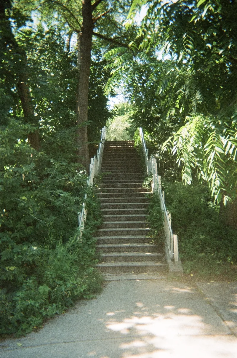 A flight of stone steps with handrails climbs through dense green trees, with dappled sunlight on the path in the foreground.