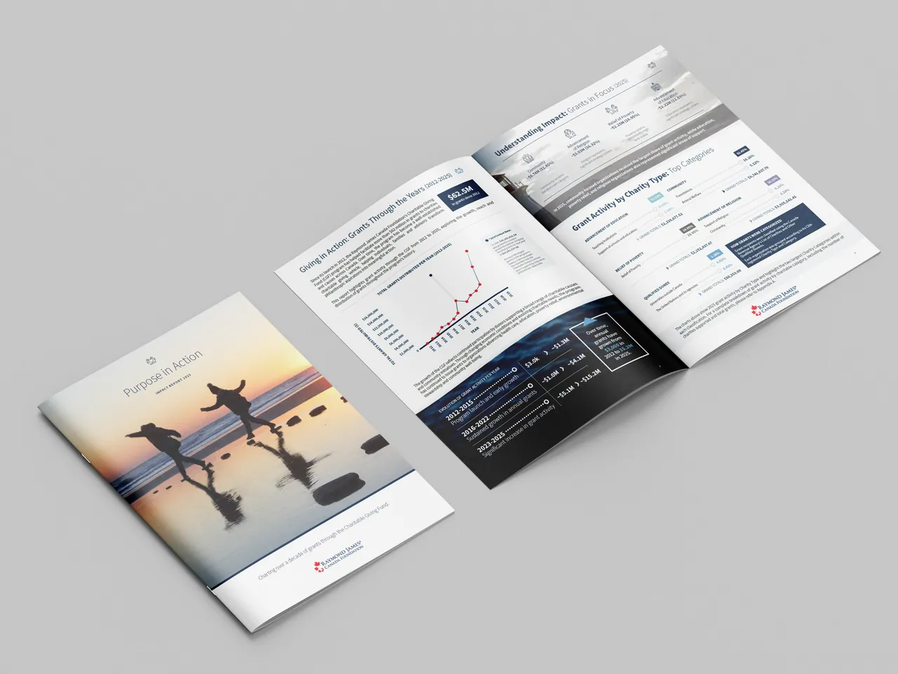 The final report as a printed booklet: closed cover beside an open spread of the growth chart and charity data, on a light grey background.