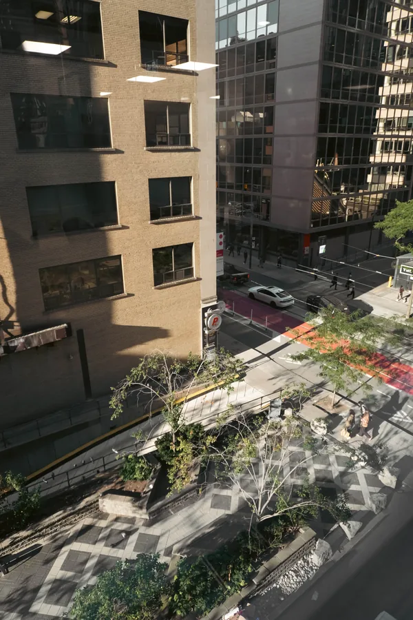 View looking down from a high window onto a street, a patterned plaza with trees and neighbouring buildings.