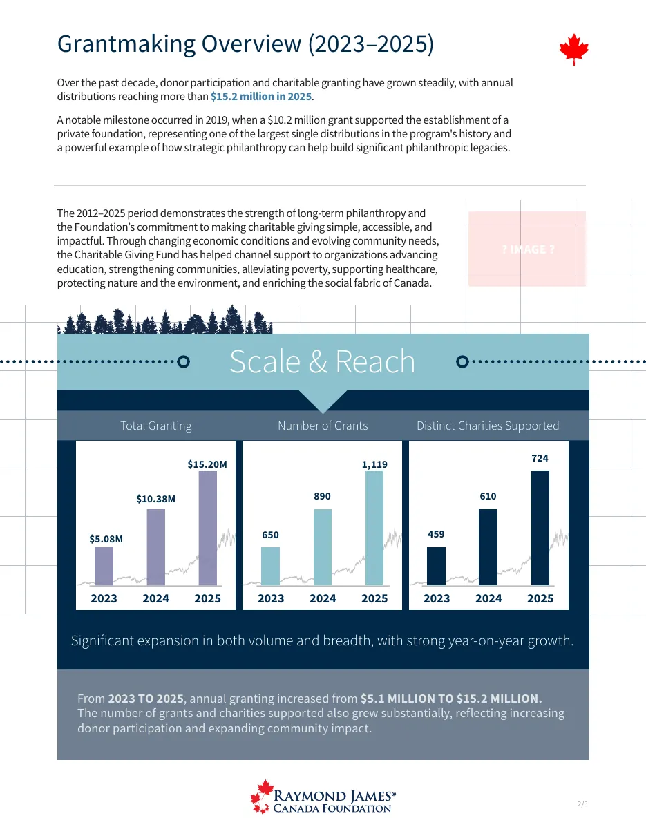 Version 1, page 4: Grantmaking in Focus with category tables.