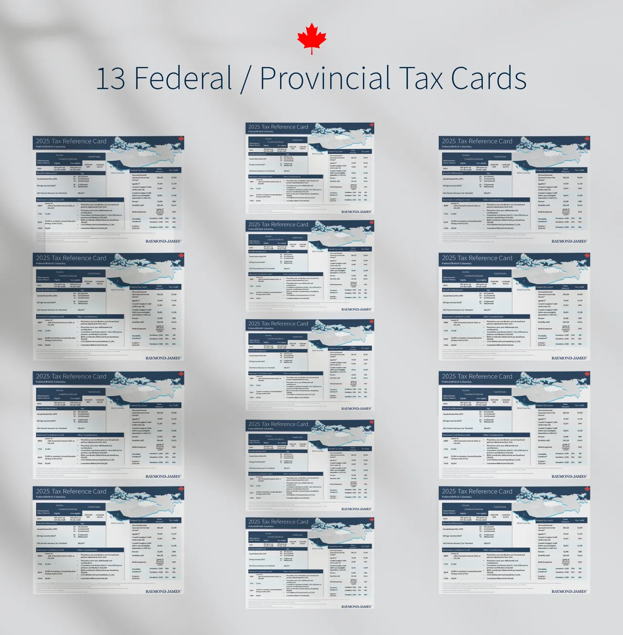 Thirteen provincial tax reference cards arranged in a grid under the heading 13 Federal and Provincial Tax Cards
