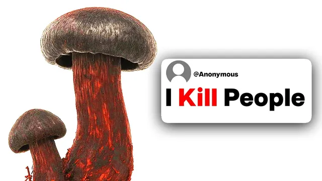 Thumbnail for the UnderSparked video: What is undoubtedly the scariest drug in existence?